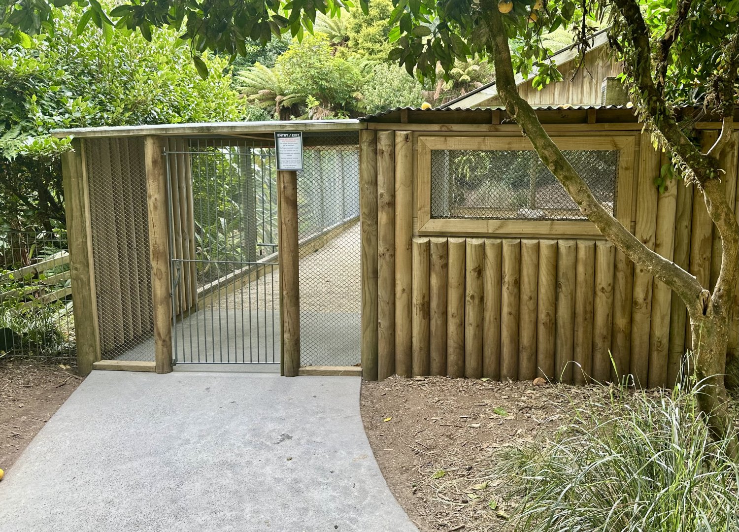 New Lion Cub Nursery