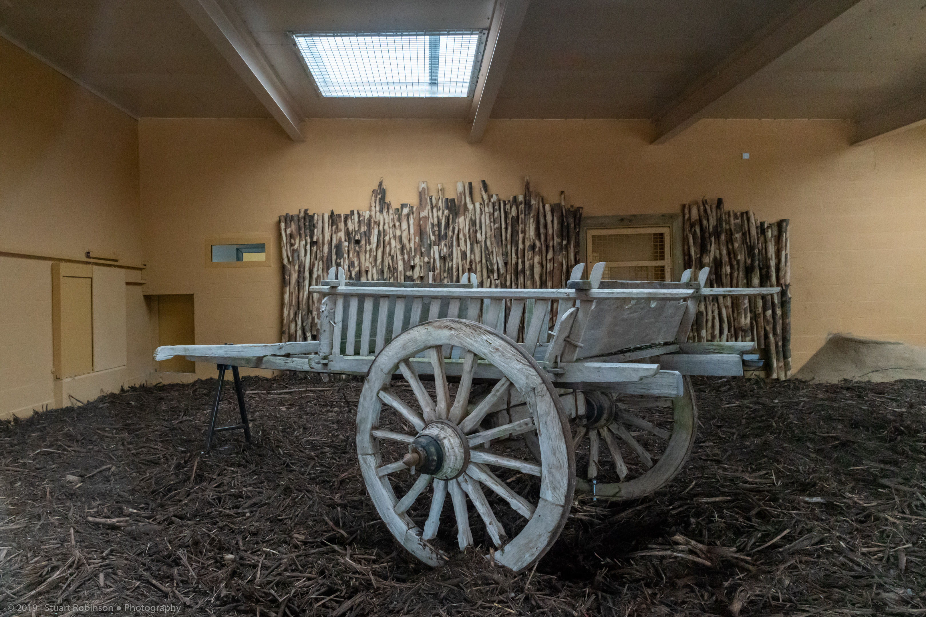 New Lion Enclosure Indoor - 20/10/2019