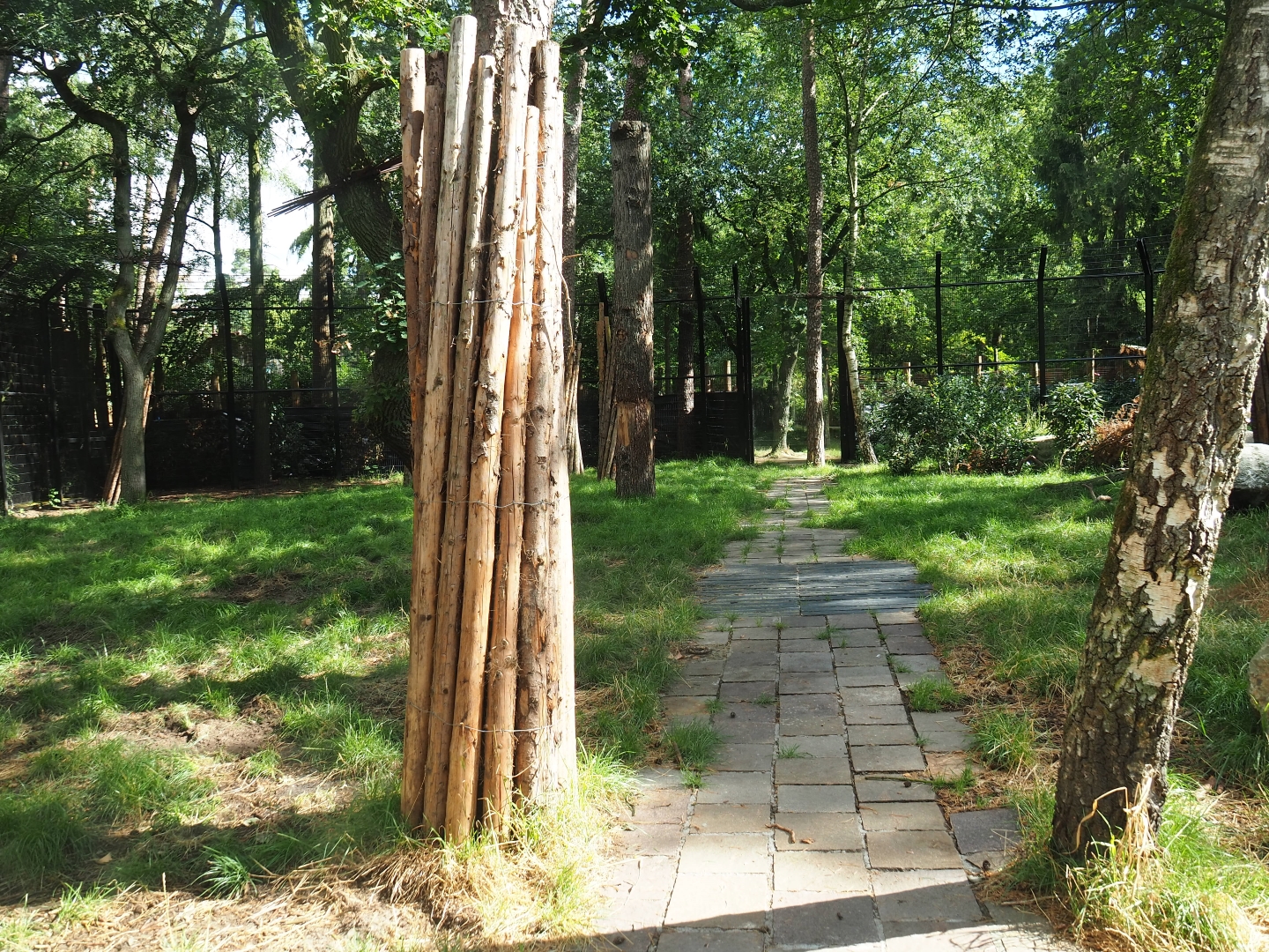 New lion exhibit as of 2017