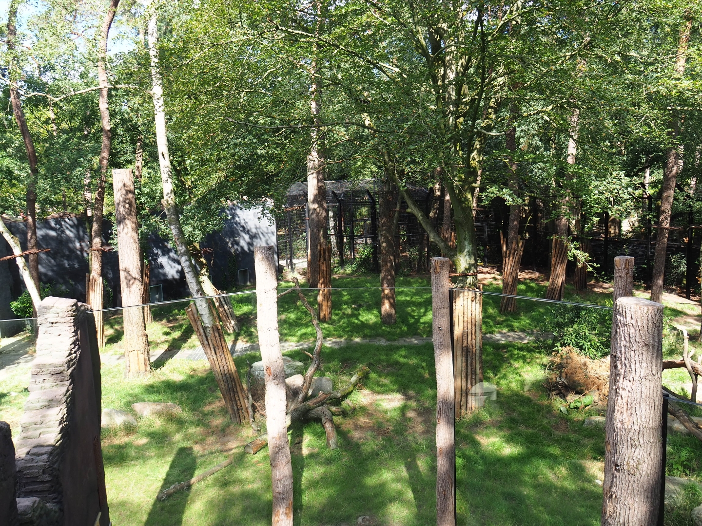 New lion exhibit as of 2017