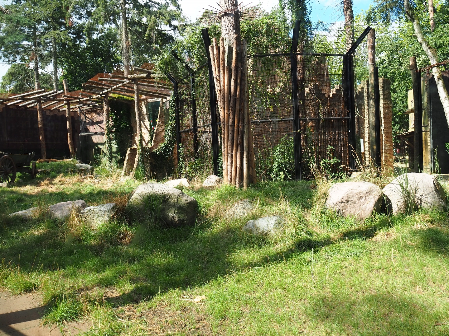 New lion exhibit as of 2017