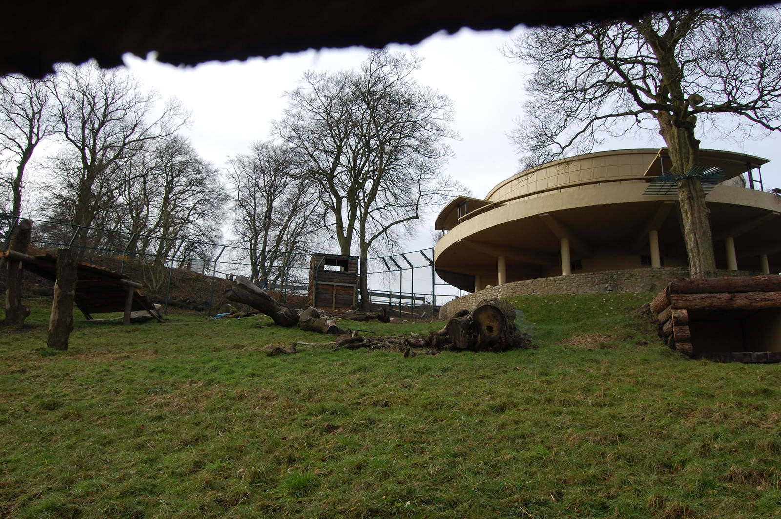 New Lion exhibit at Dudley zoo