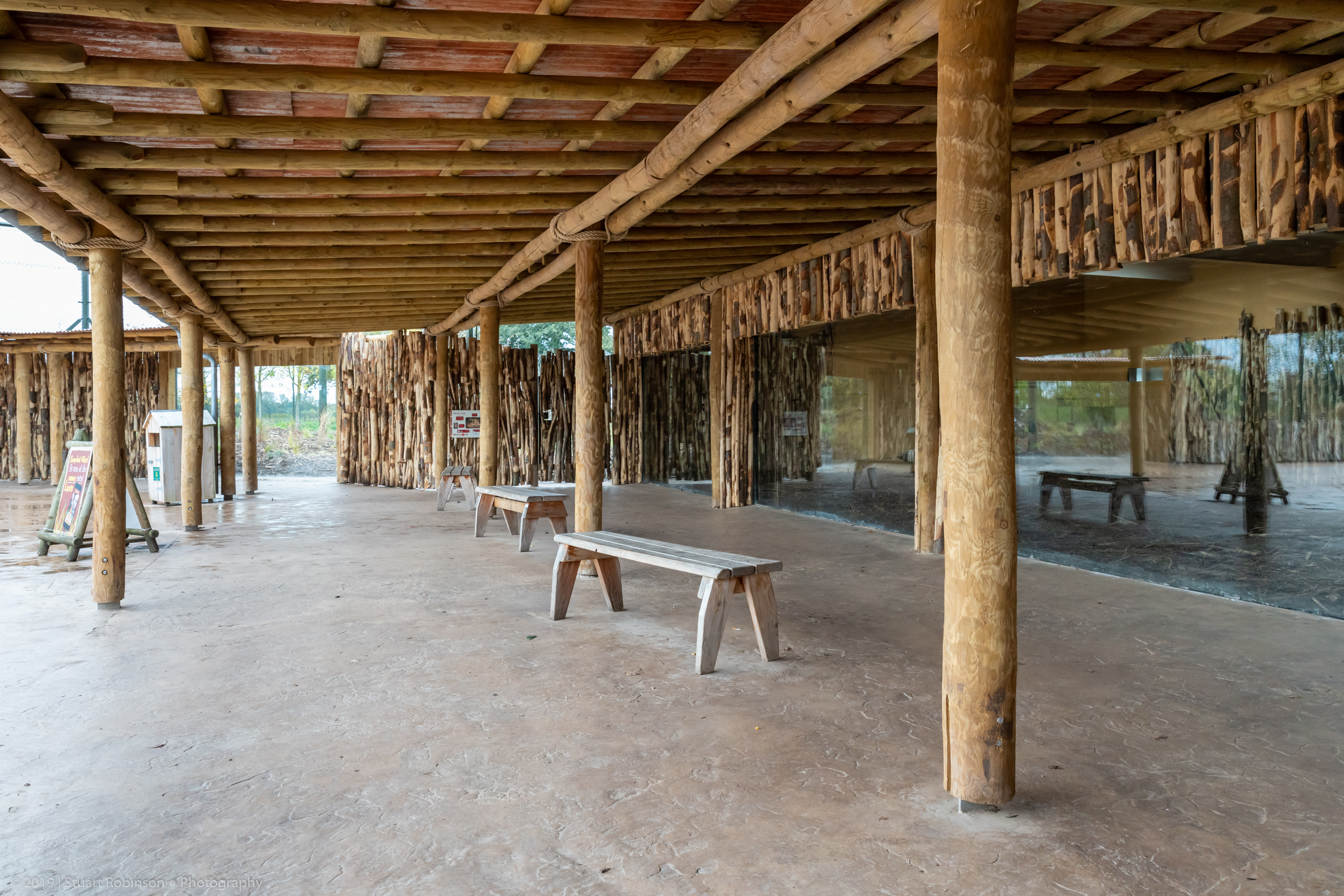 New Lion Exhibit Covered Viewing - 20/10/2019