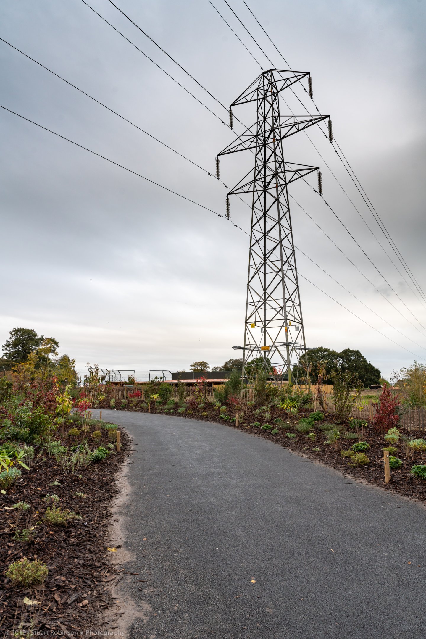 New Lion Exhibit Entrance - 20/10/2019