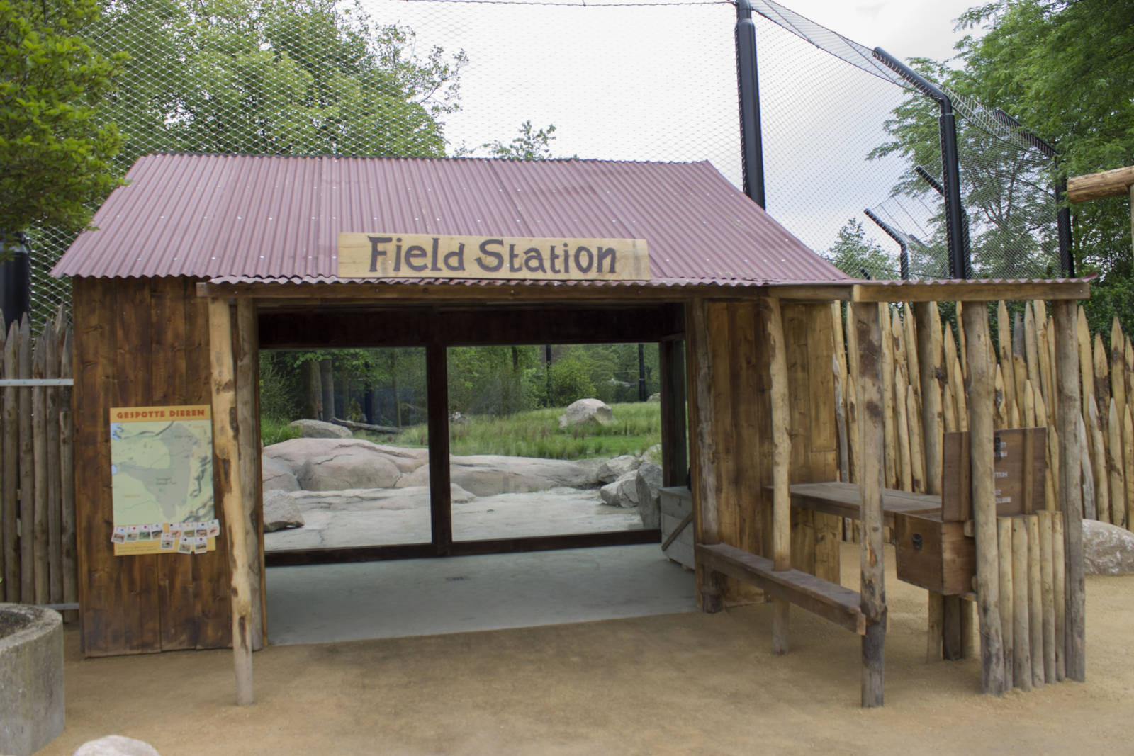 New lion exhibit - Field Station