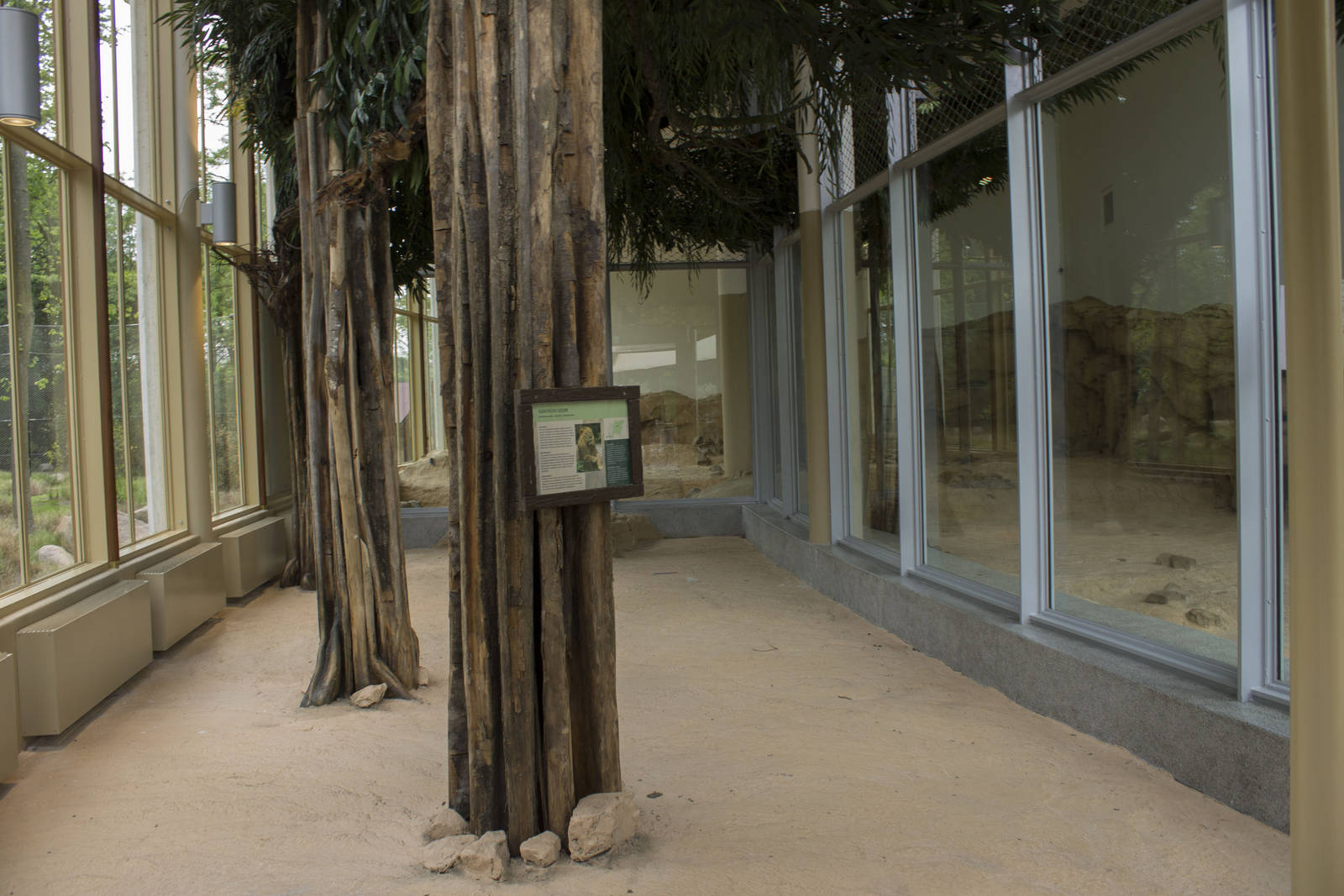 New lion exhibit - Indoor