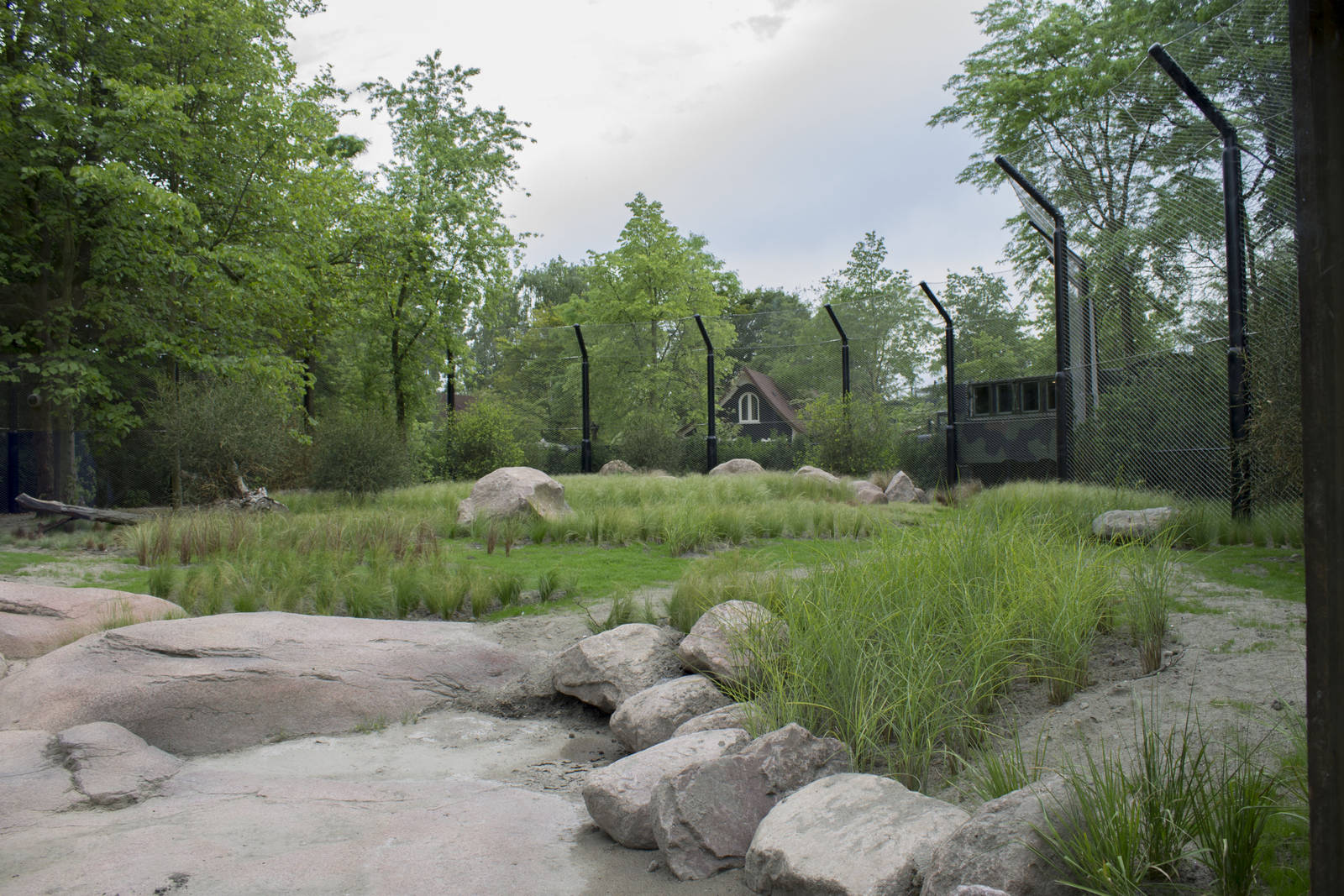 New lion exhibit - Outdoor
