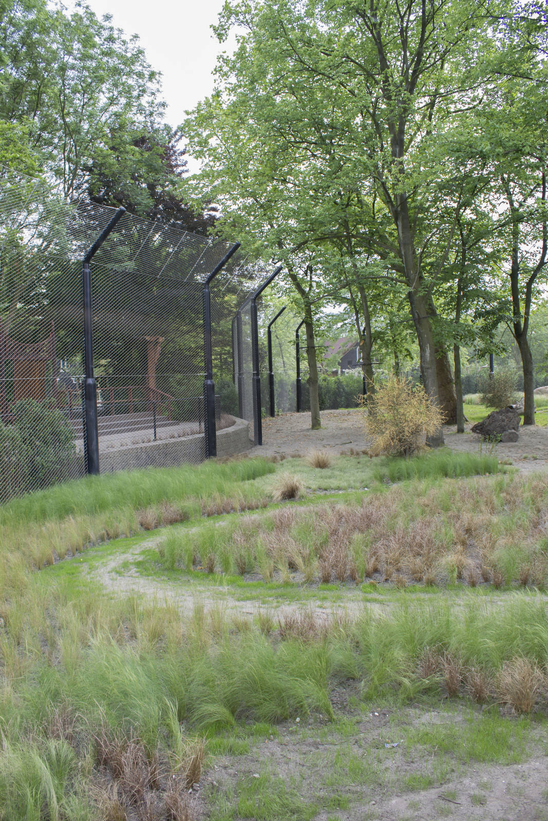New lion exhibit - Outdoor
