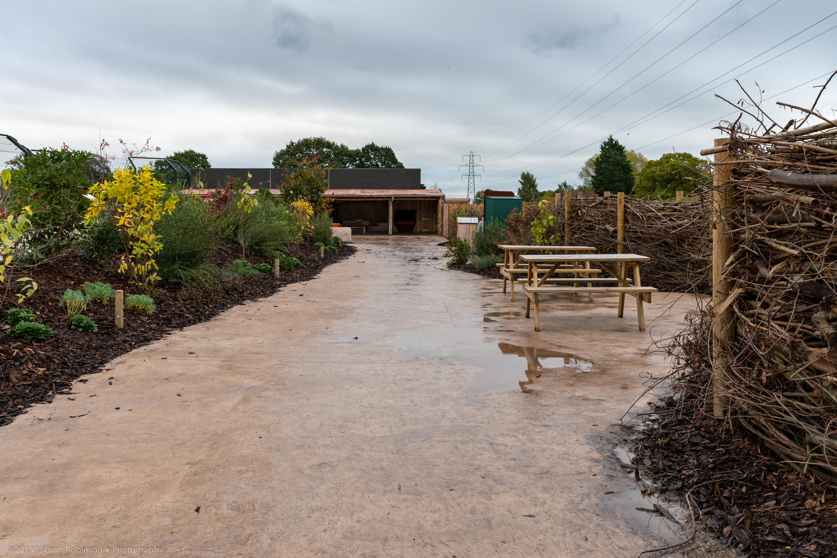 New Lion Exhibit Pathway - 20/10/2019