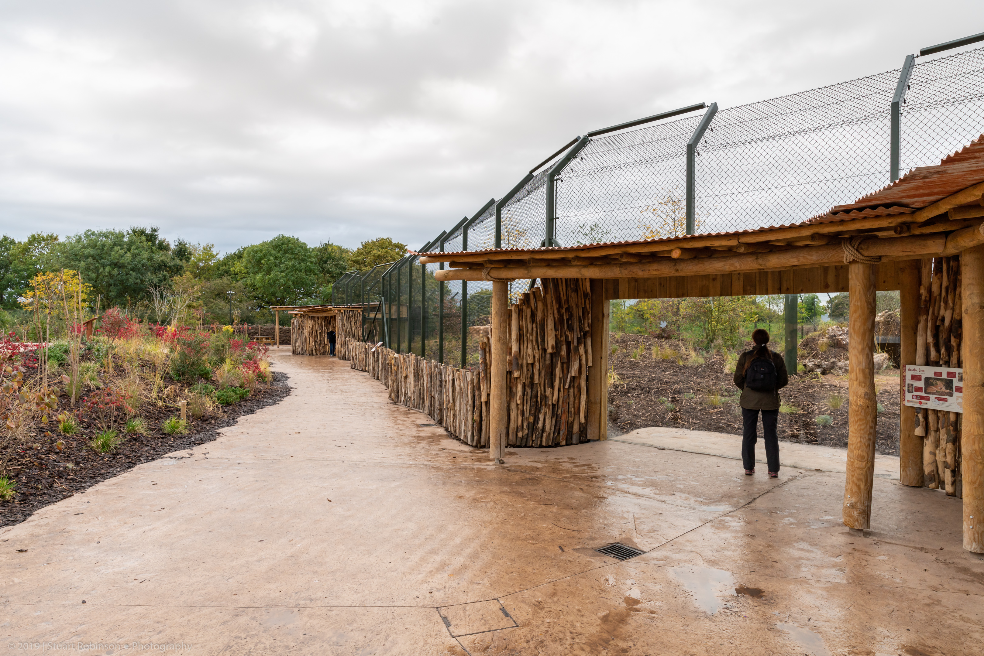 New Lion Exhibit Third Viewing Window - 20/10/2019