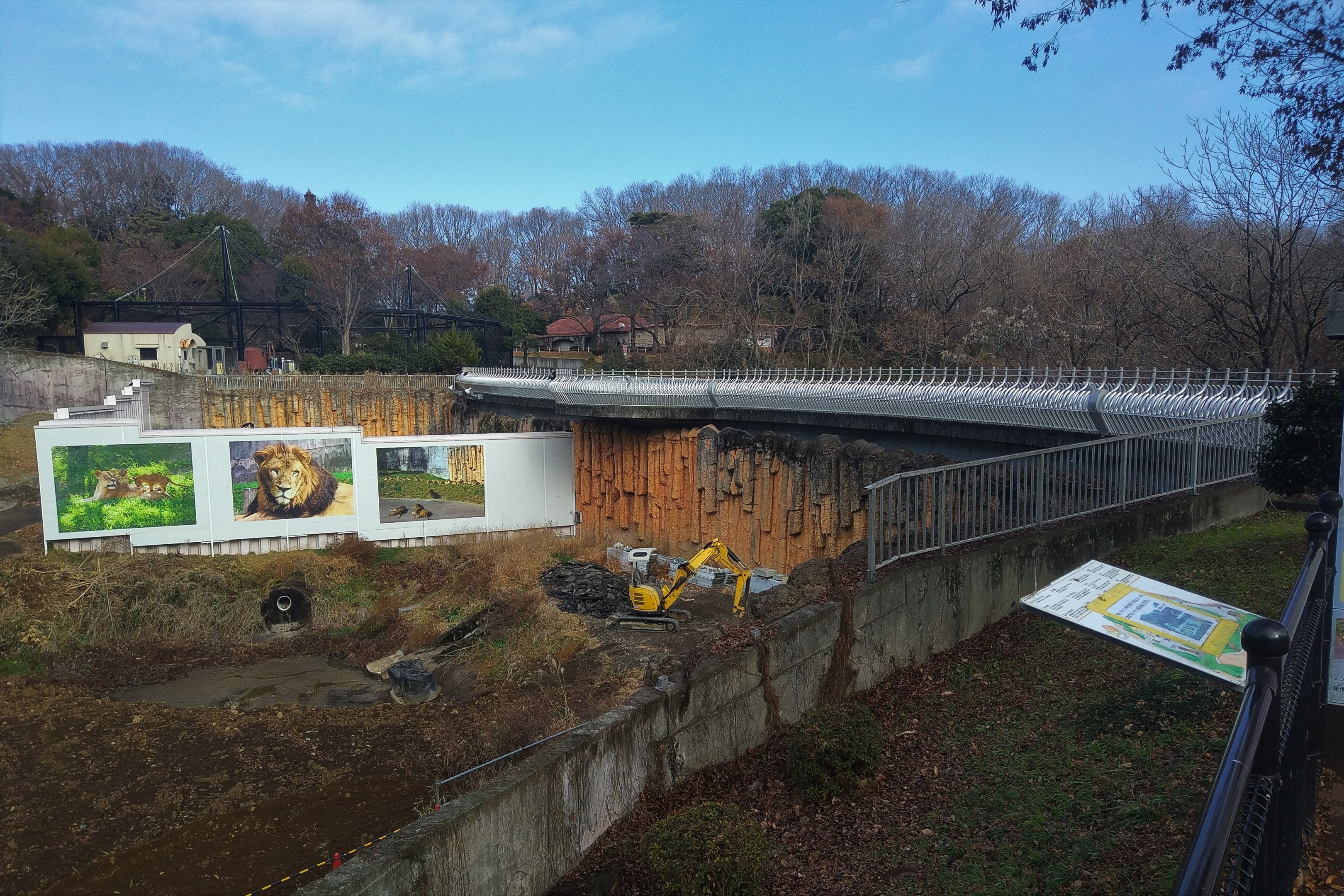 New Lion Exhibit Under Construction