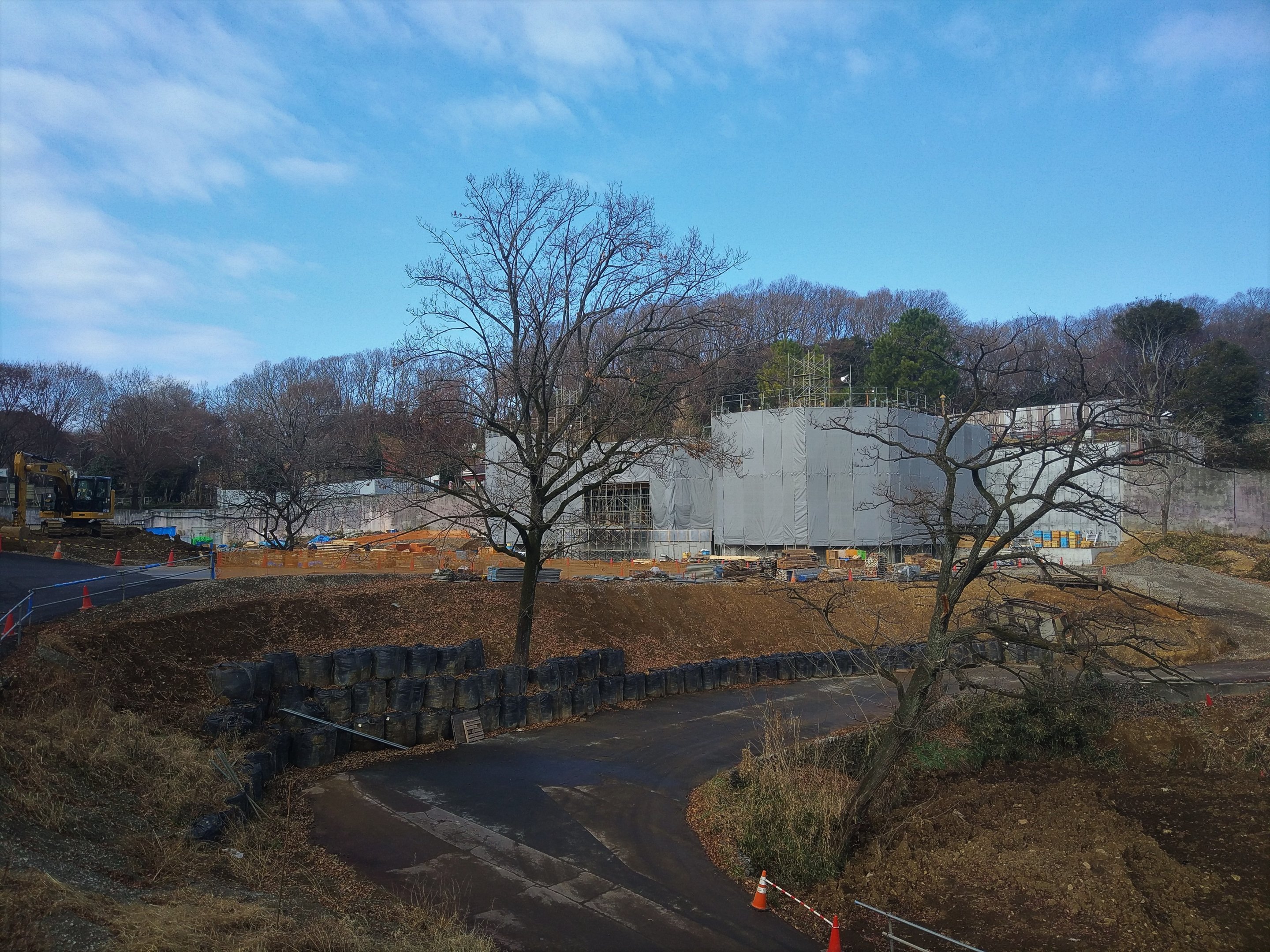 New Lion Exhibit Under Construction