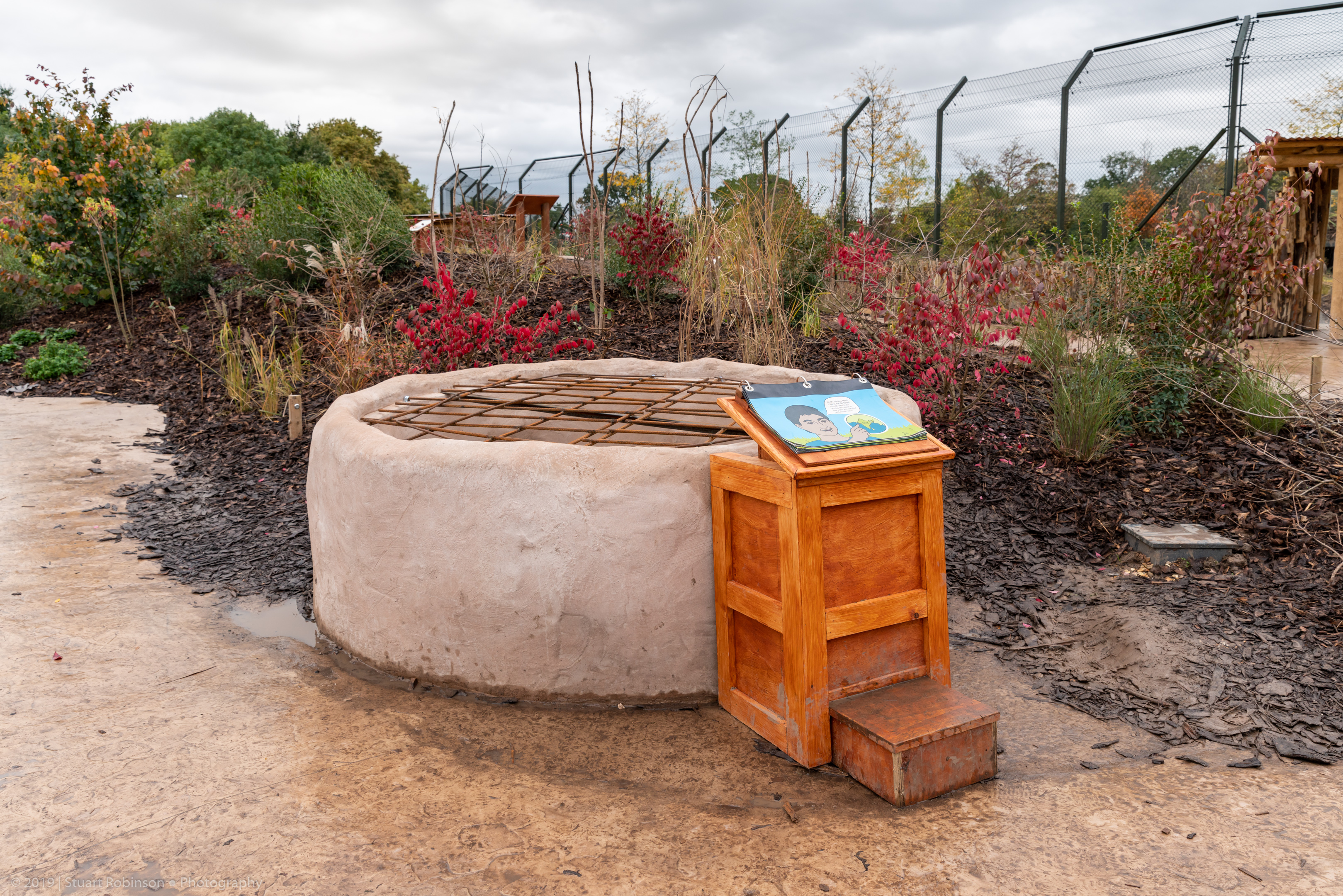 New Lion Exhibit Well - 20/10/2019