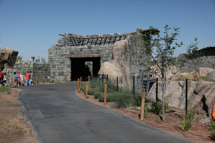 new lion exhibit