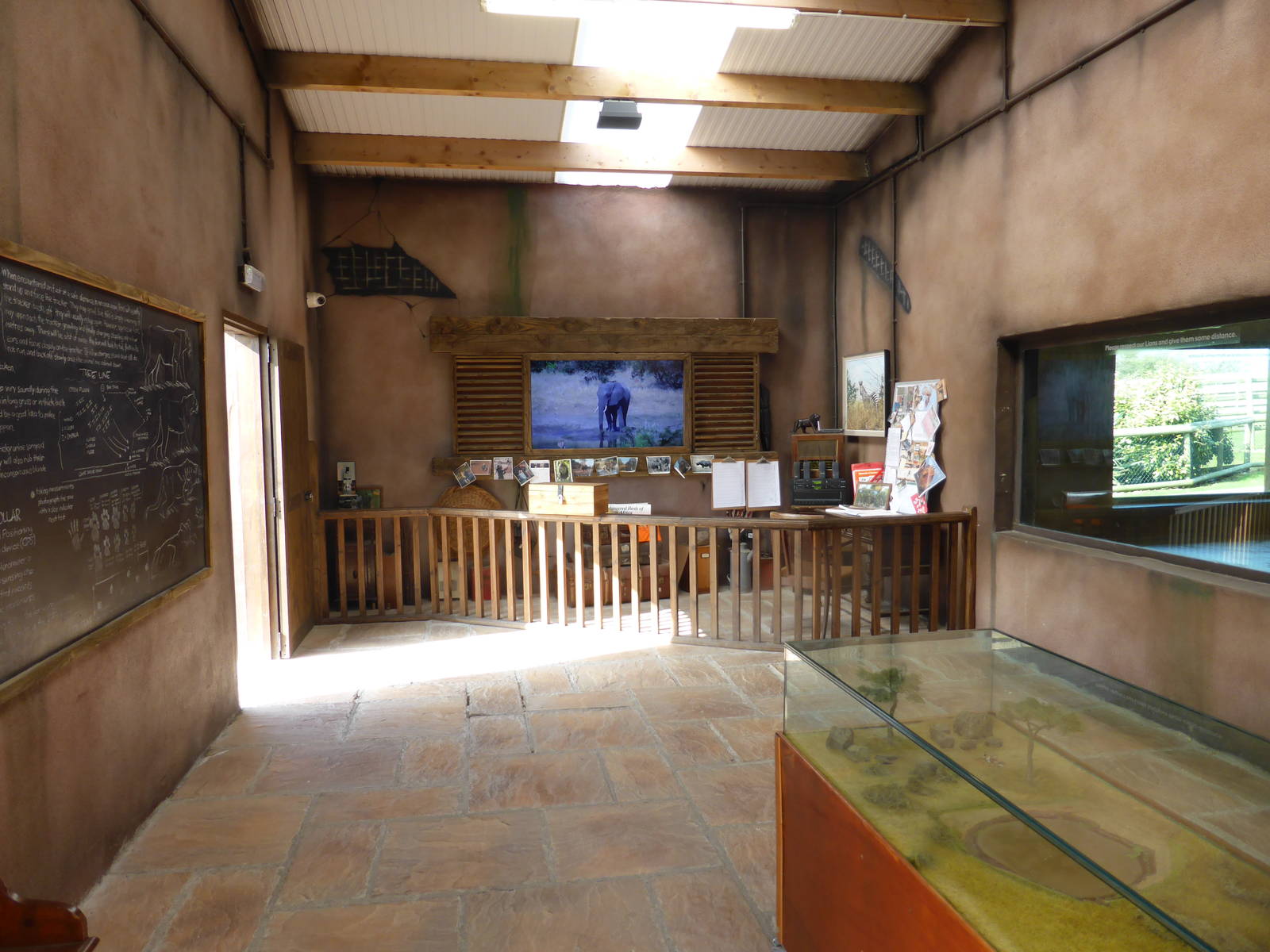 New Lion exhibit