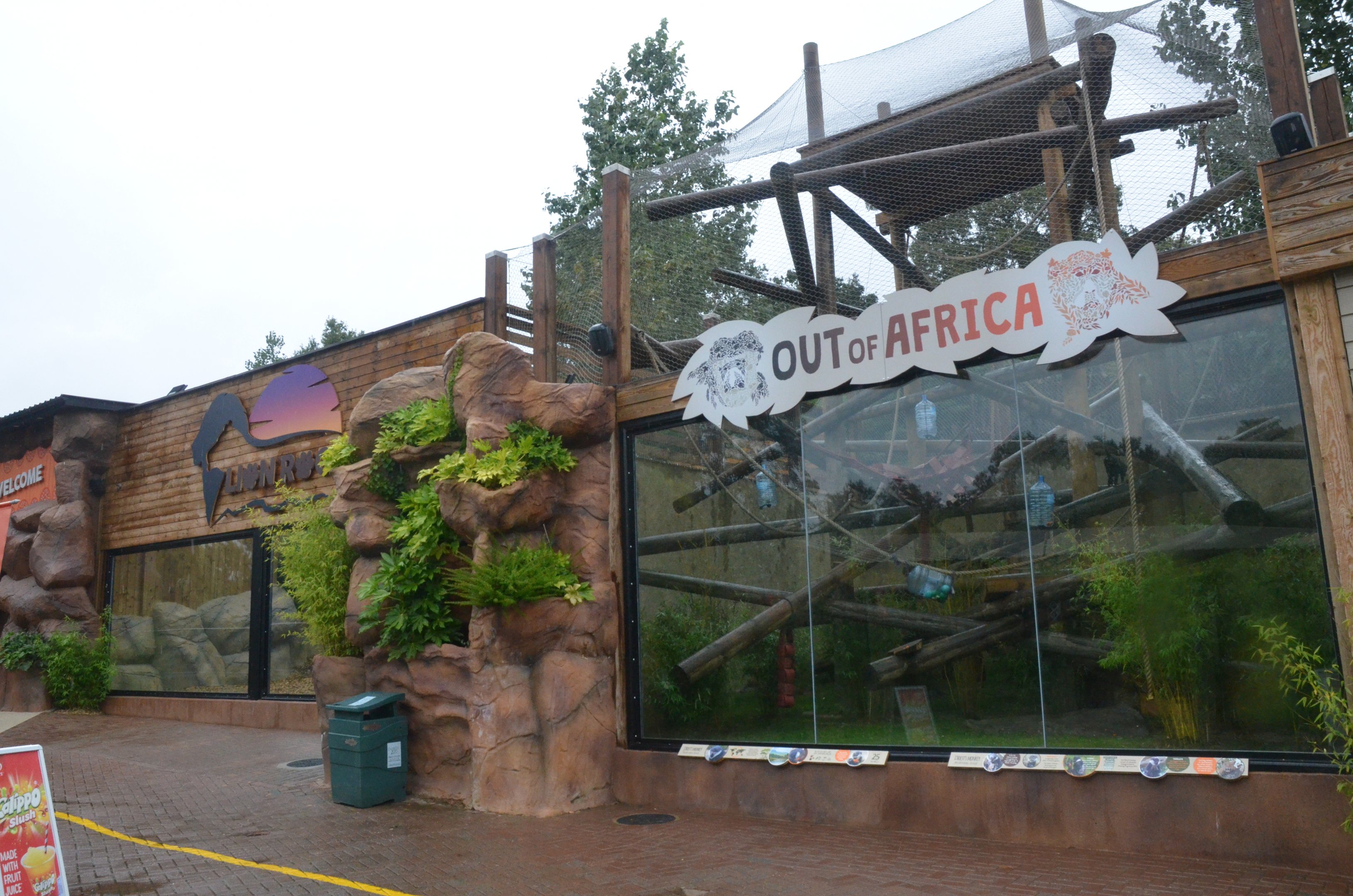 New Lion Extension and Out of Africa Enclosure at Colchester, 09/09/19