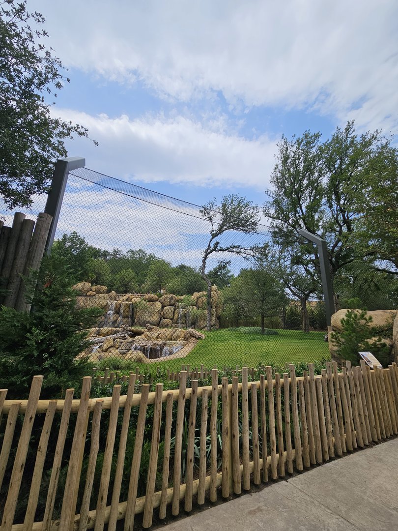New lion habitat
