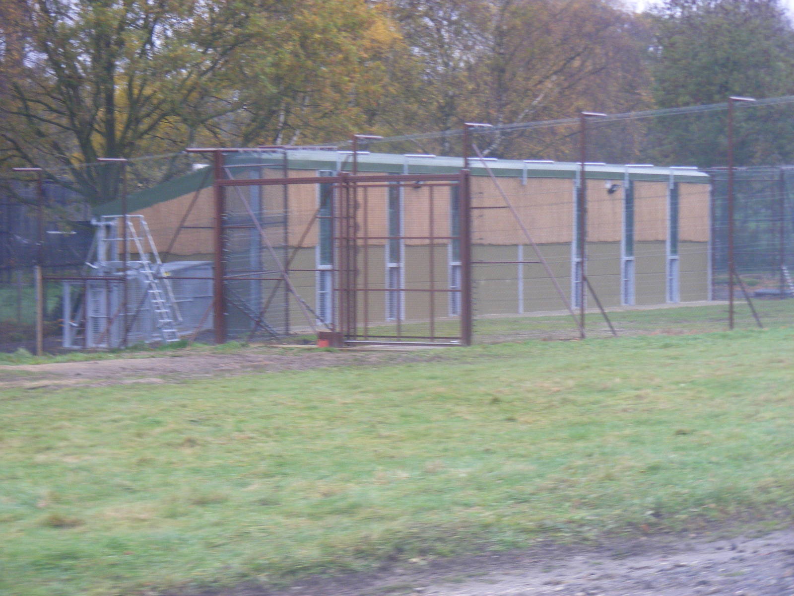 New lion house at Woburn Safari Park, 14 November 2010