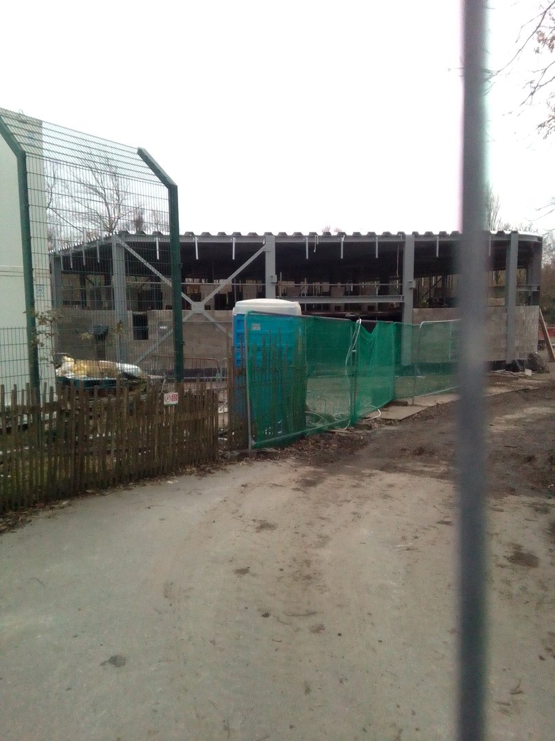 New lion/tiger house