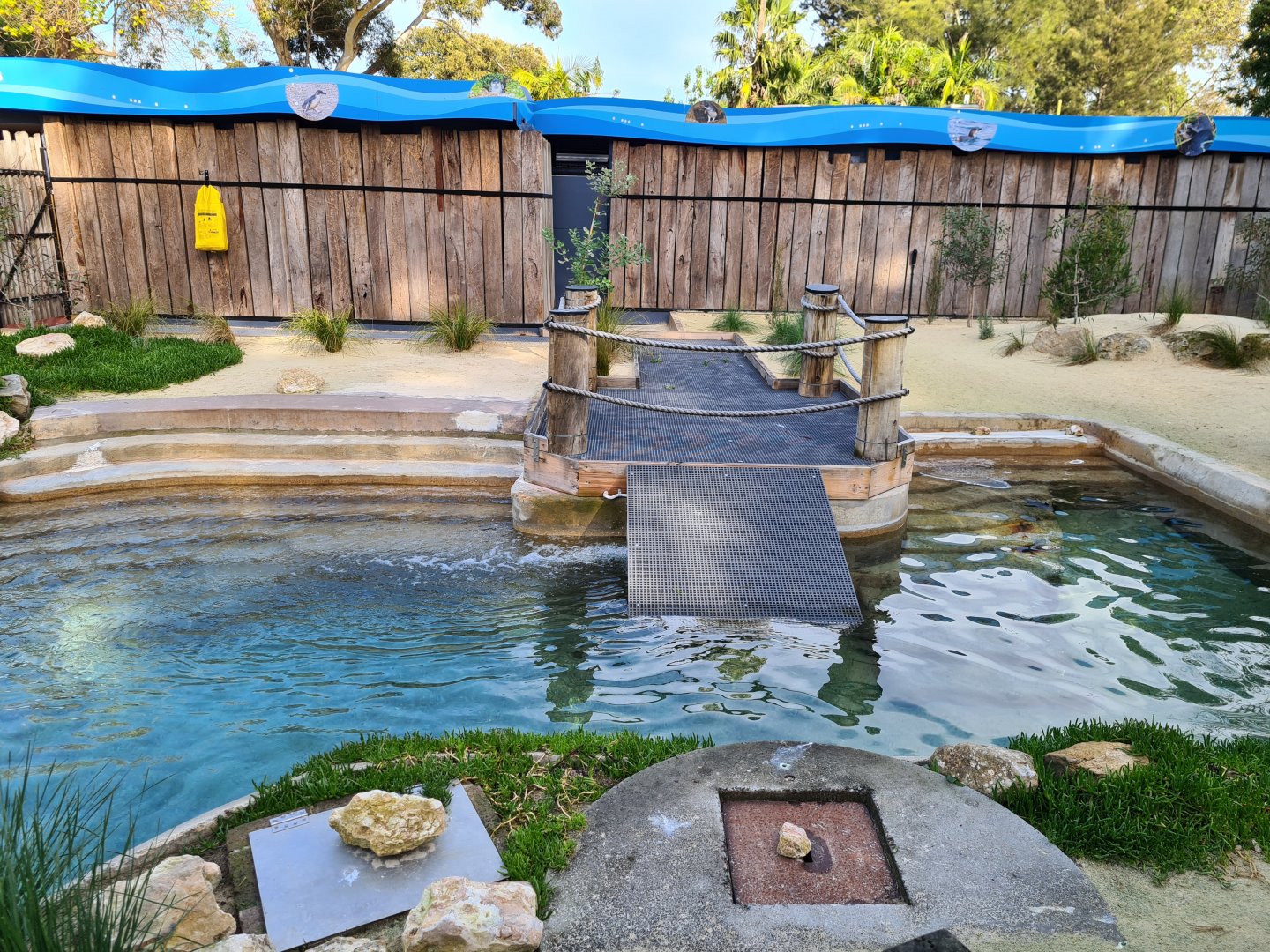 New Little Blue Penguin exhibit at the entrance