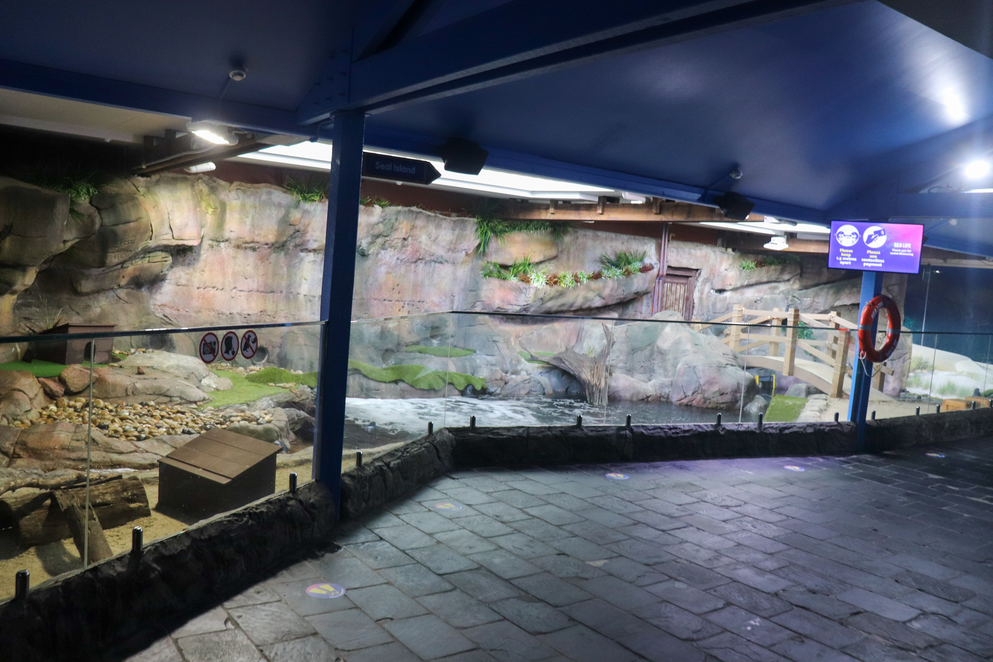 New Little Penguin Enclosure