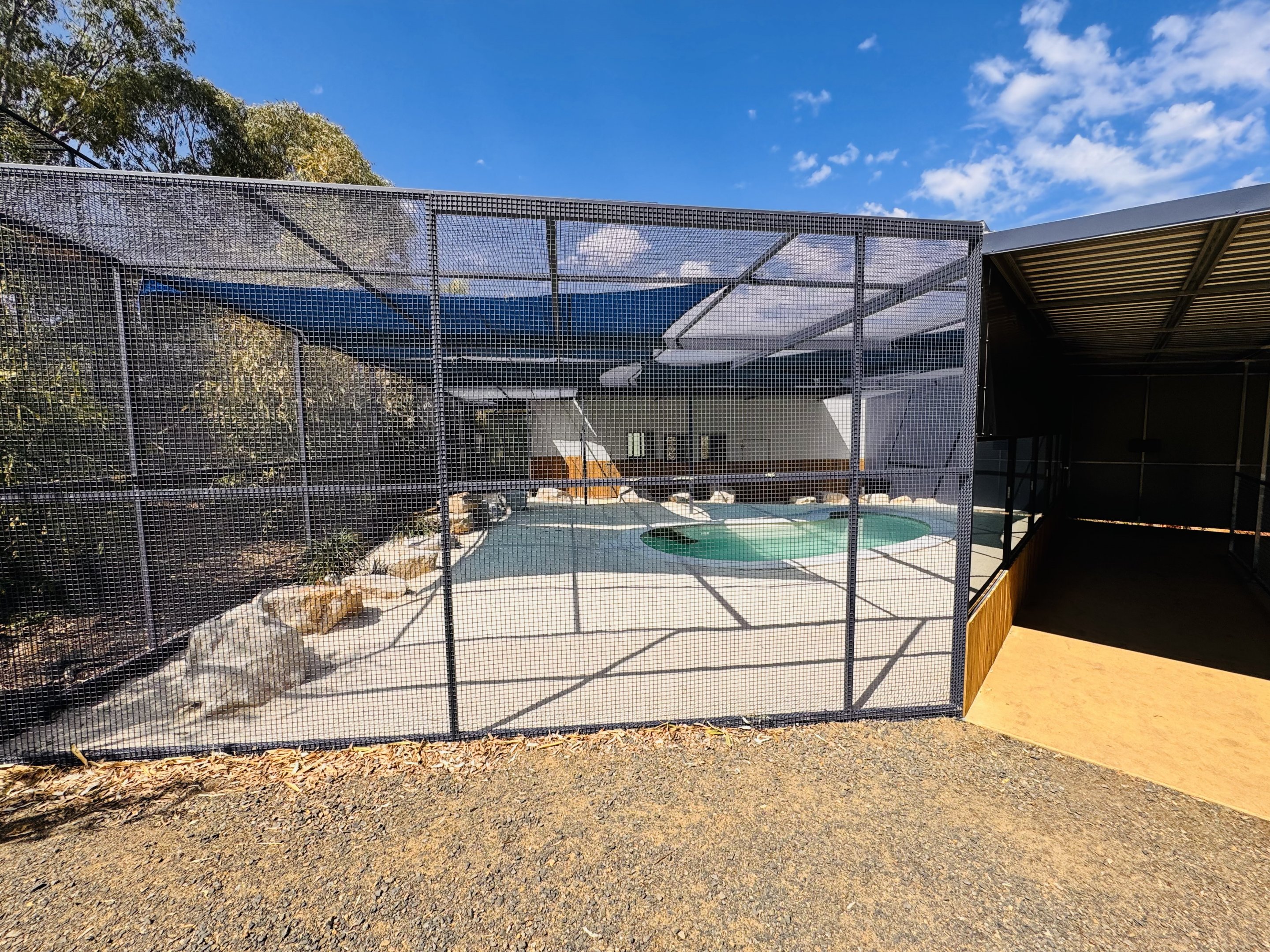 New little penguin enclosure