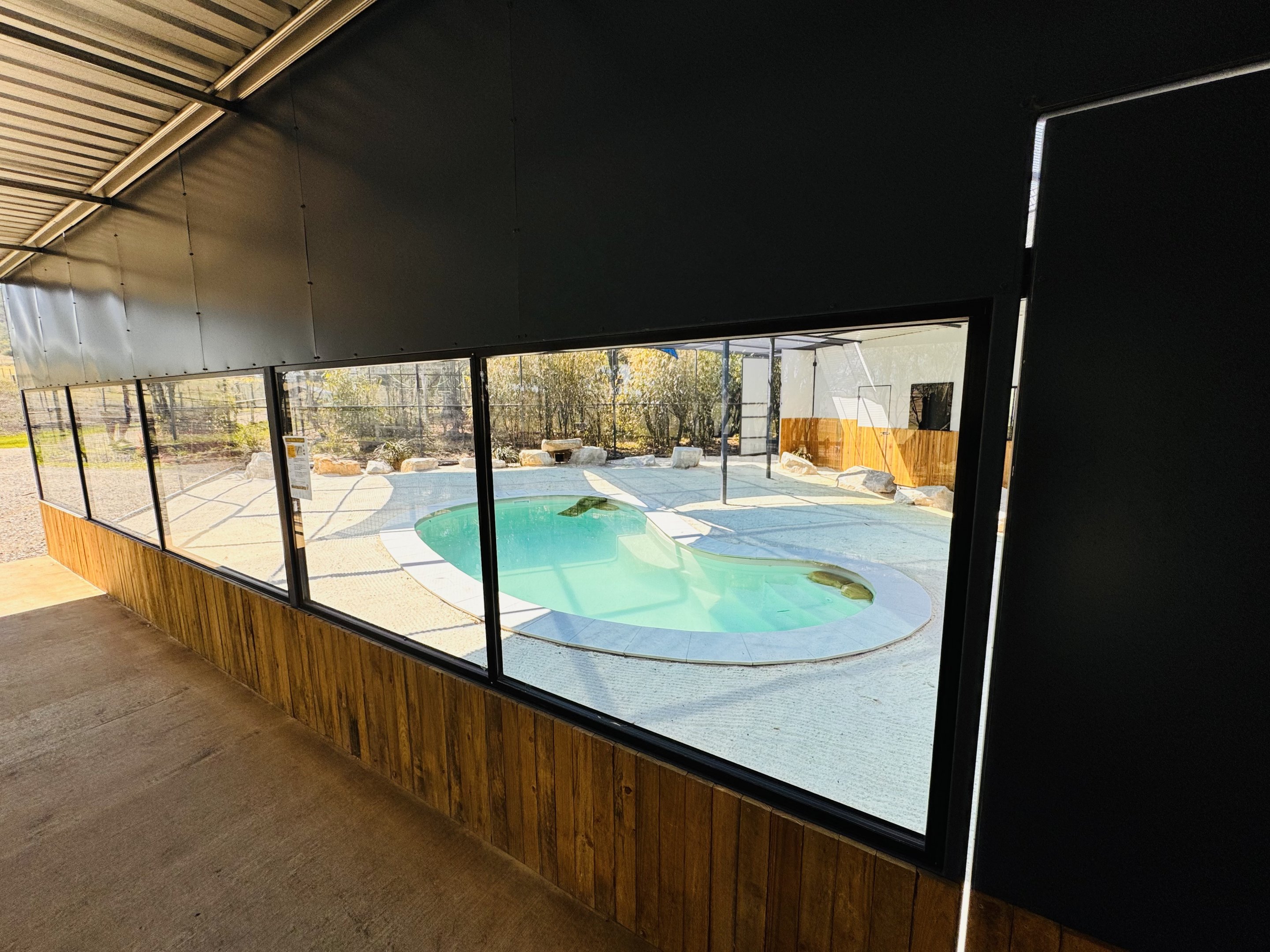 New little penguin enclosure