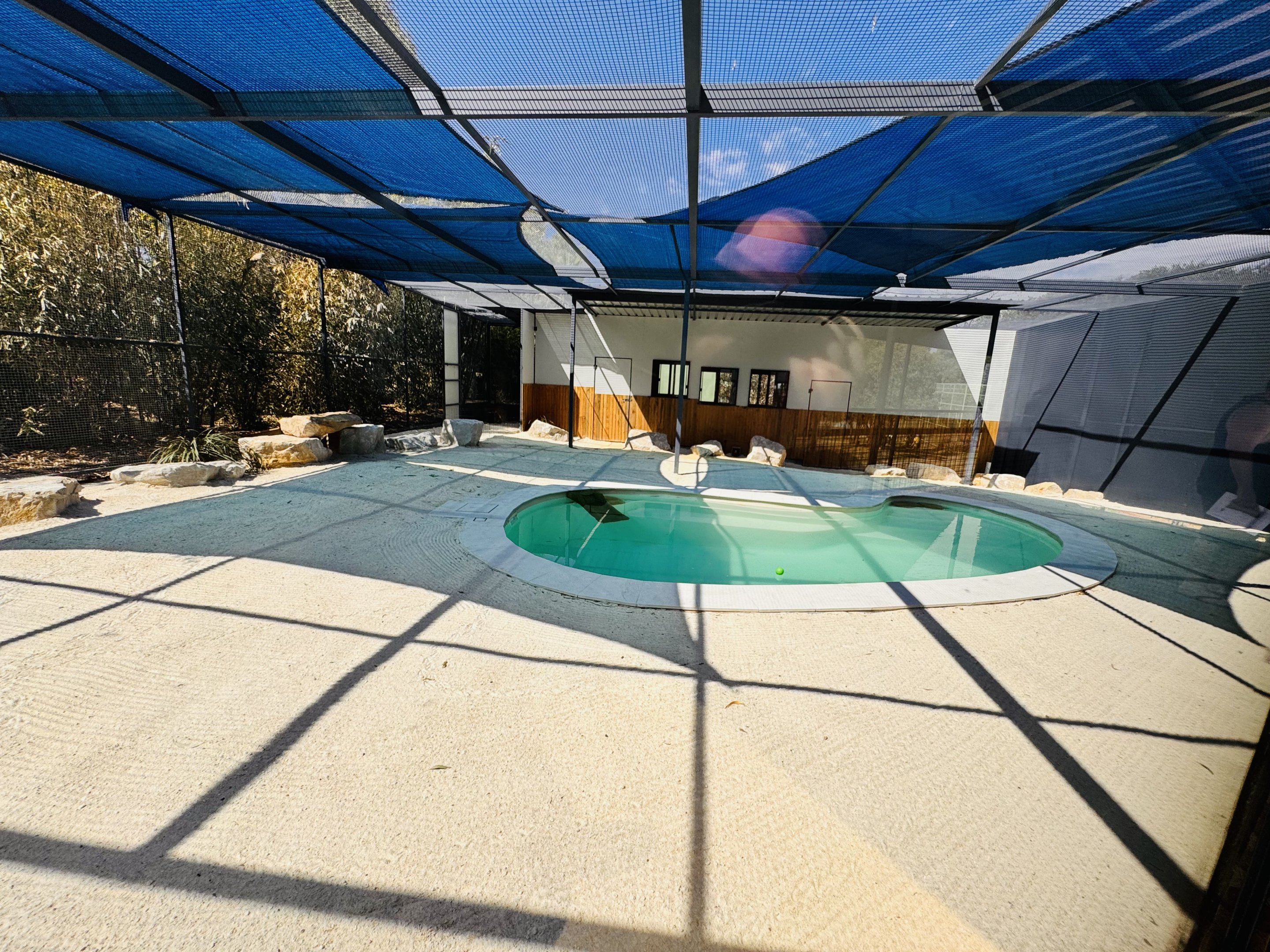 New little penguin enclosure