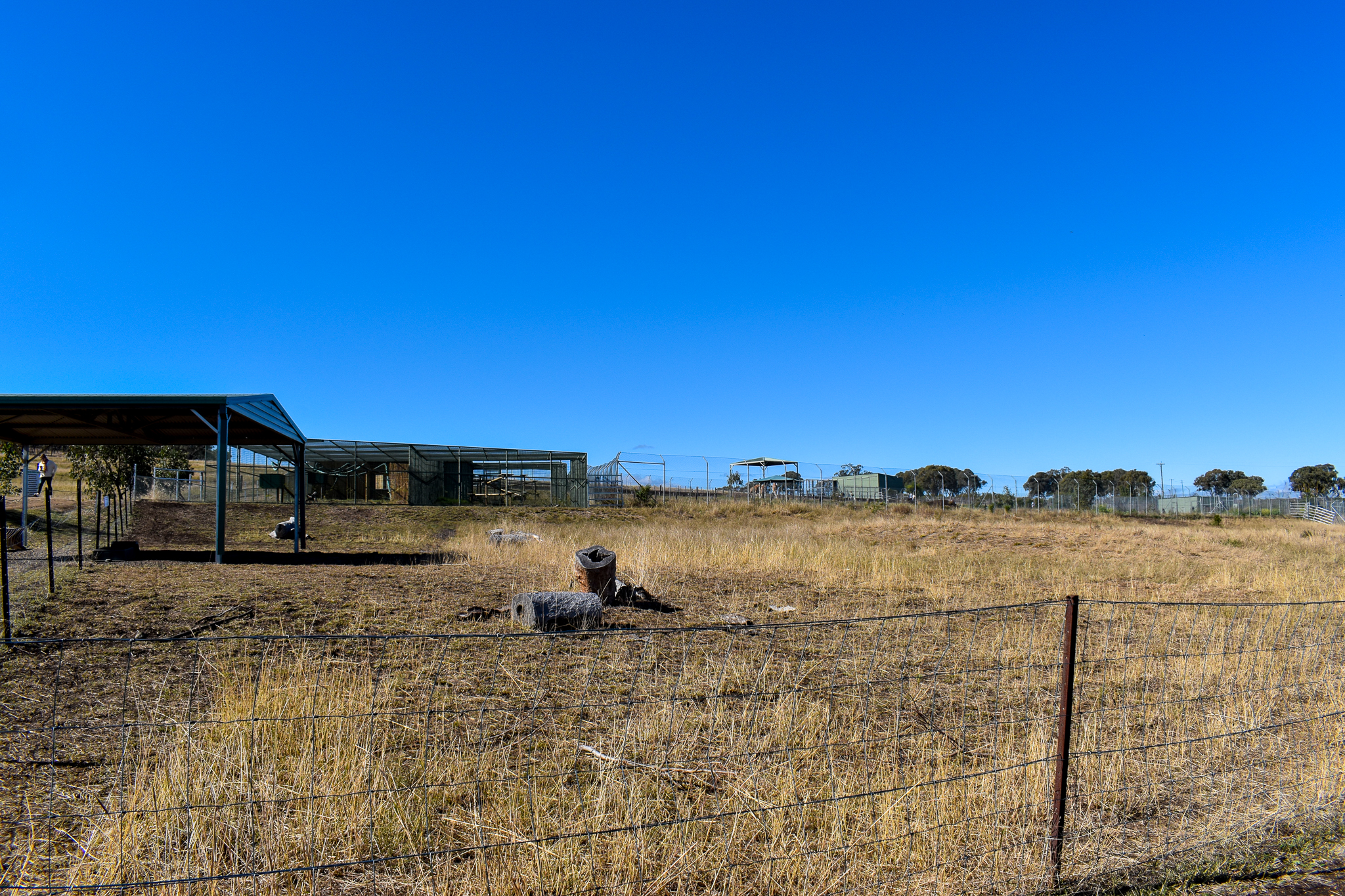New Llama/Guanaco Paddock