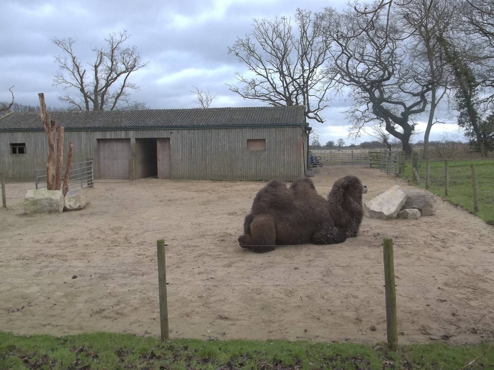New look for camel yards, 22nd December 2014