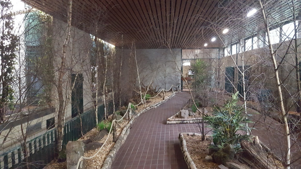 New look for the big cat house