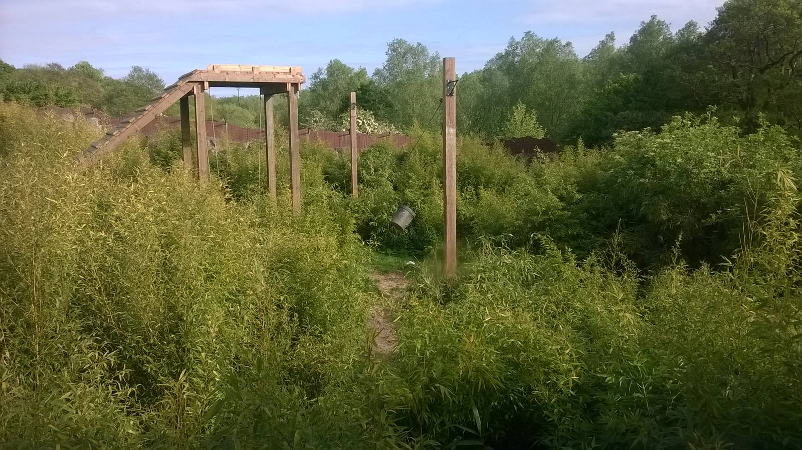 New look tiger enclosure