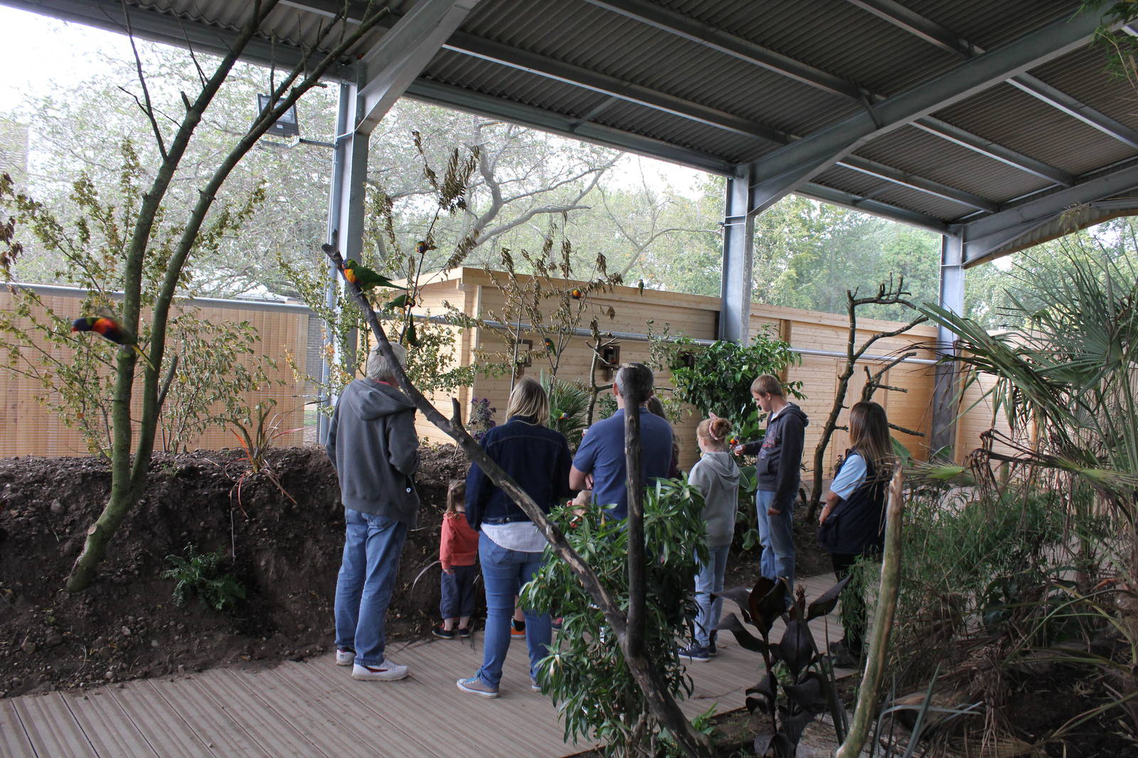 New Lorikeet enclosure 16-8-14