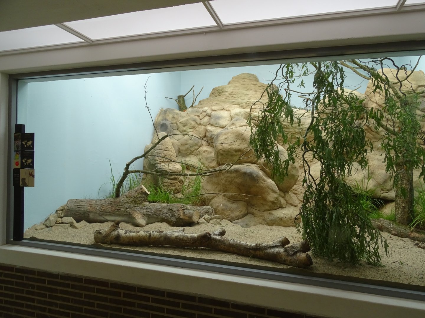 New lovebird/patridge enclosure