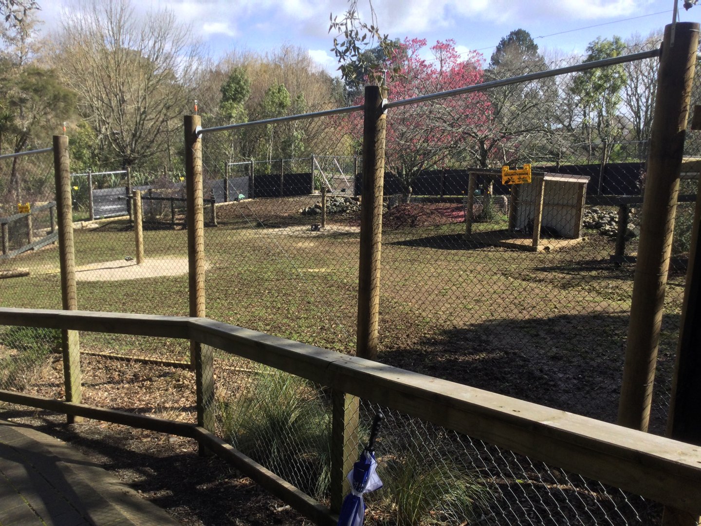 New Lowland Nyala Exhibit