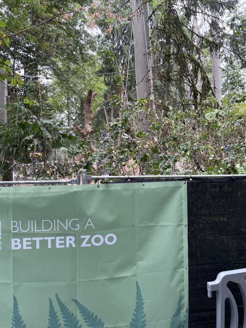 New Lynx Exhibit Construction