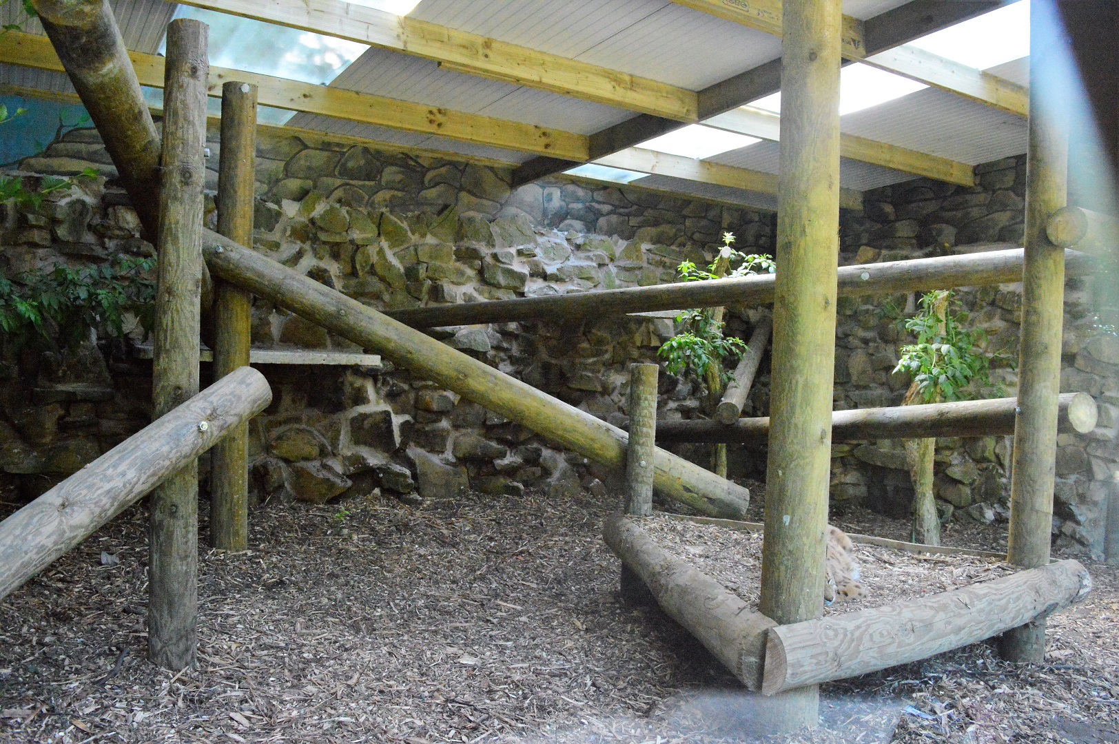 New lynx house extension