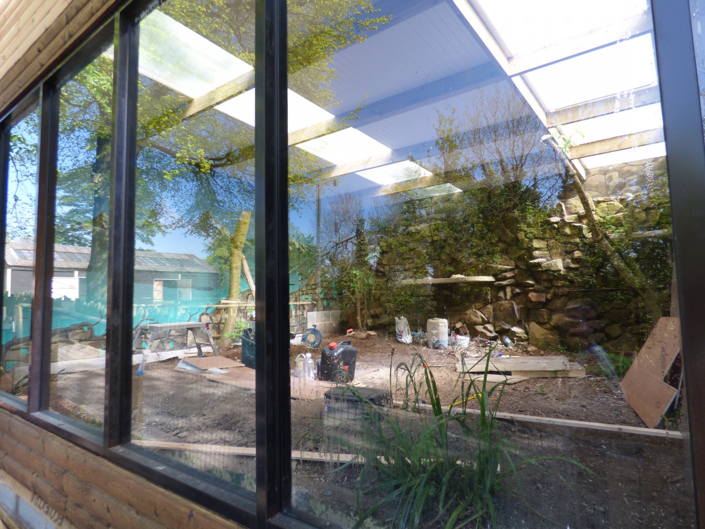 New Lynx Indoor on site of former Geoffrey's Cat exhibit