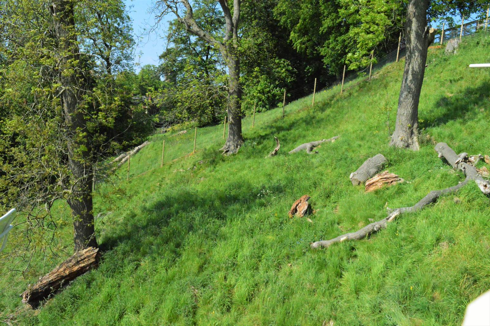 New macaque enclosure