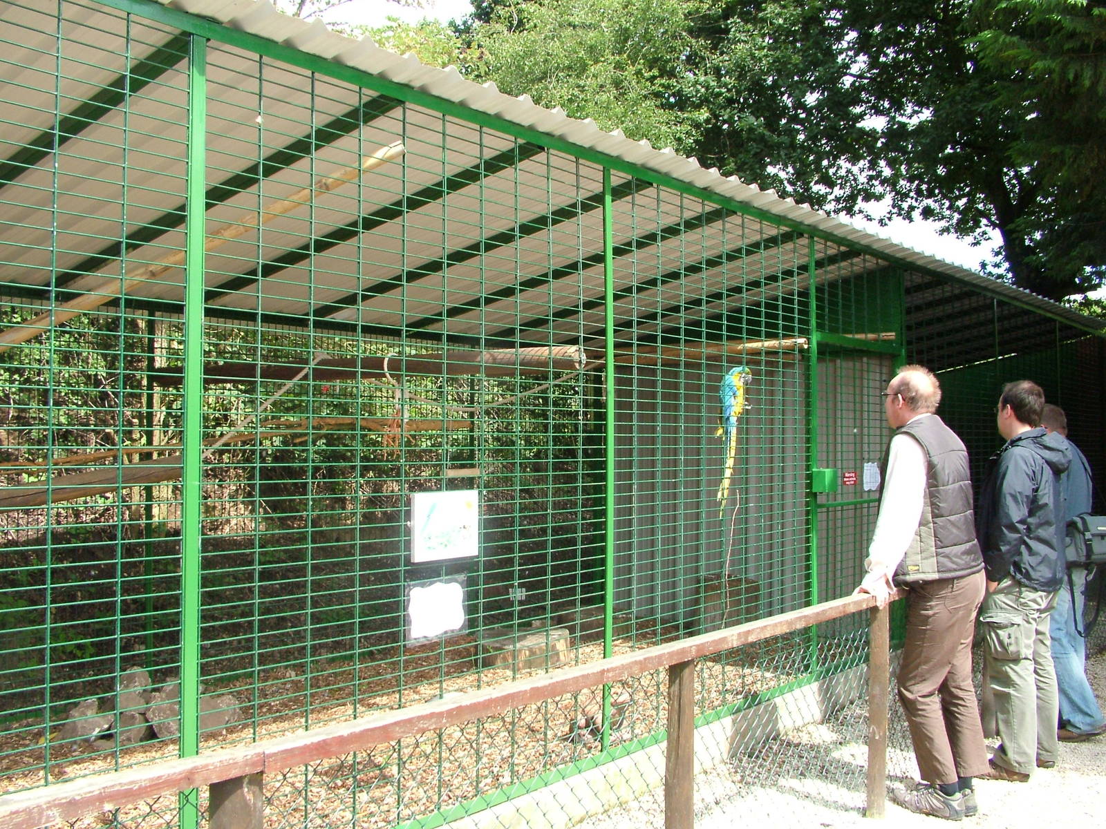 New macaw aviaries at Wetlands WP 02/08/09