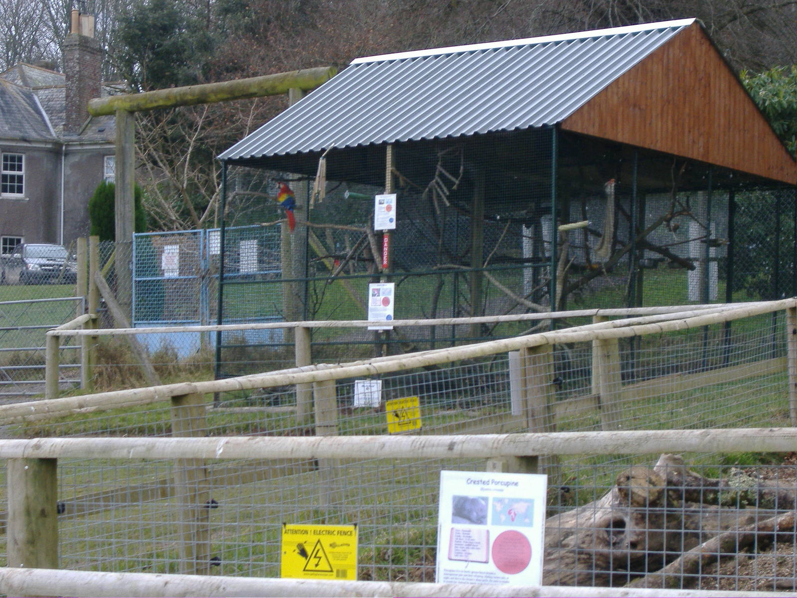 new macaw cage dartmoor