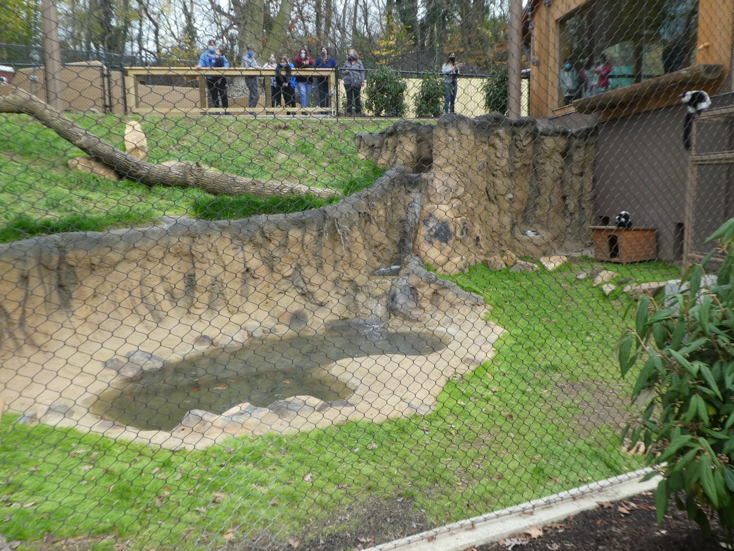 New Madagascar Exhibit - Recirculating Pool