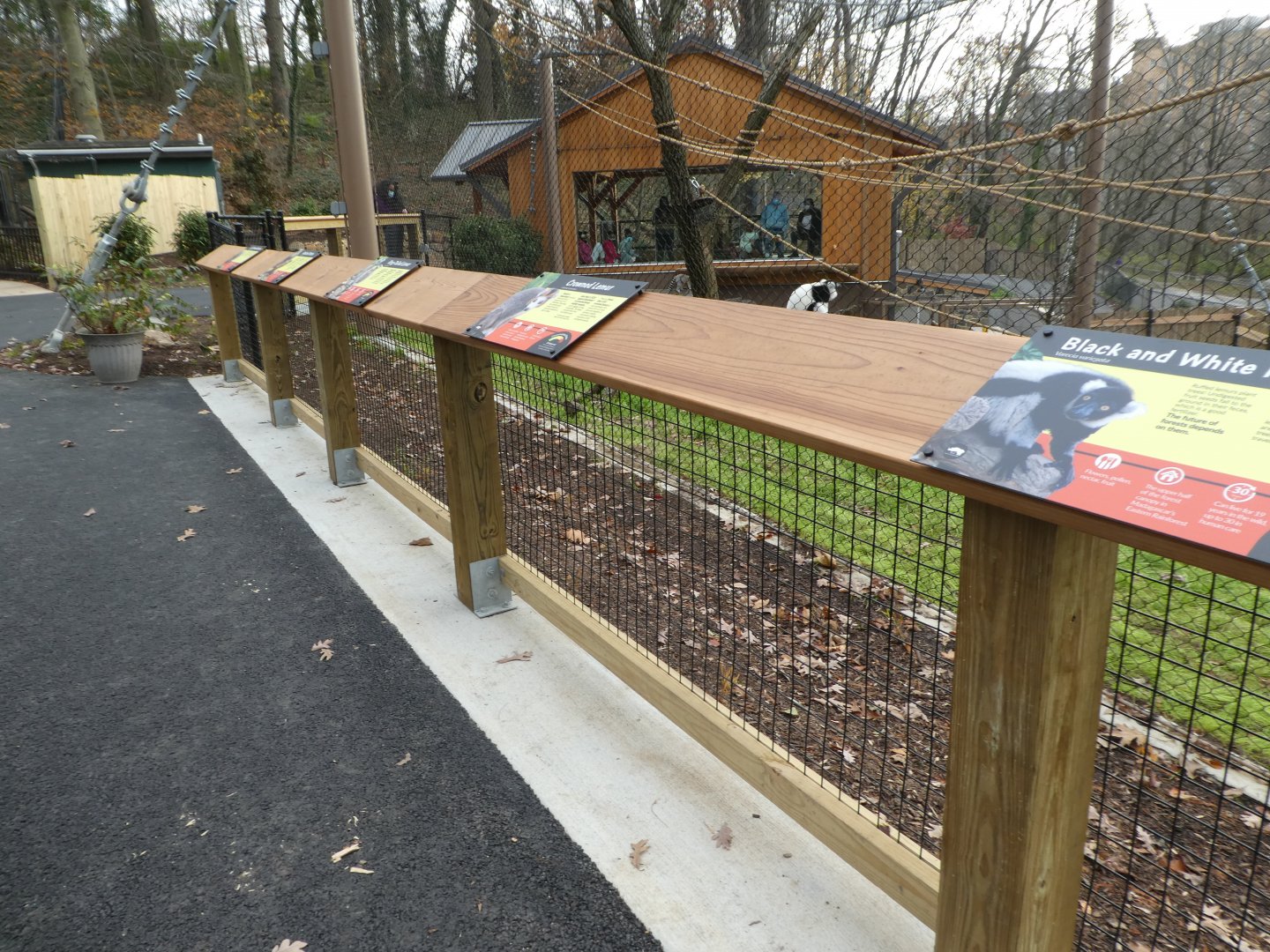 New Madagascar Exhibit - Signage