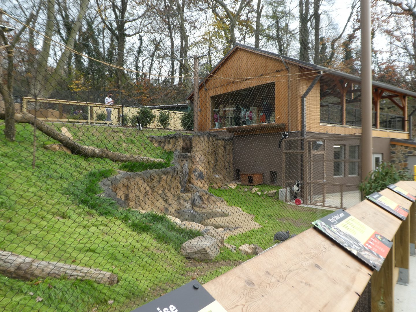 New Madagascar Exhibit - View From Lower Viewing Point