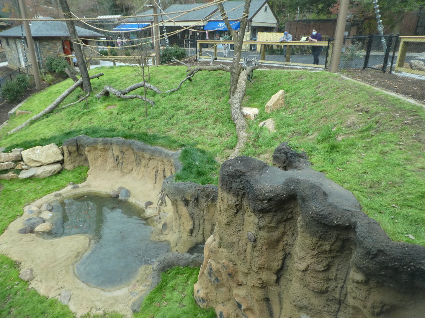 New Madagascar Exhibit - View Through Glass Viewing Window