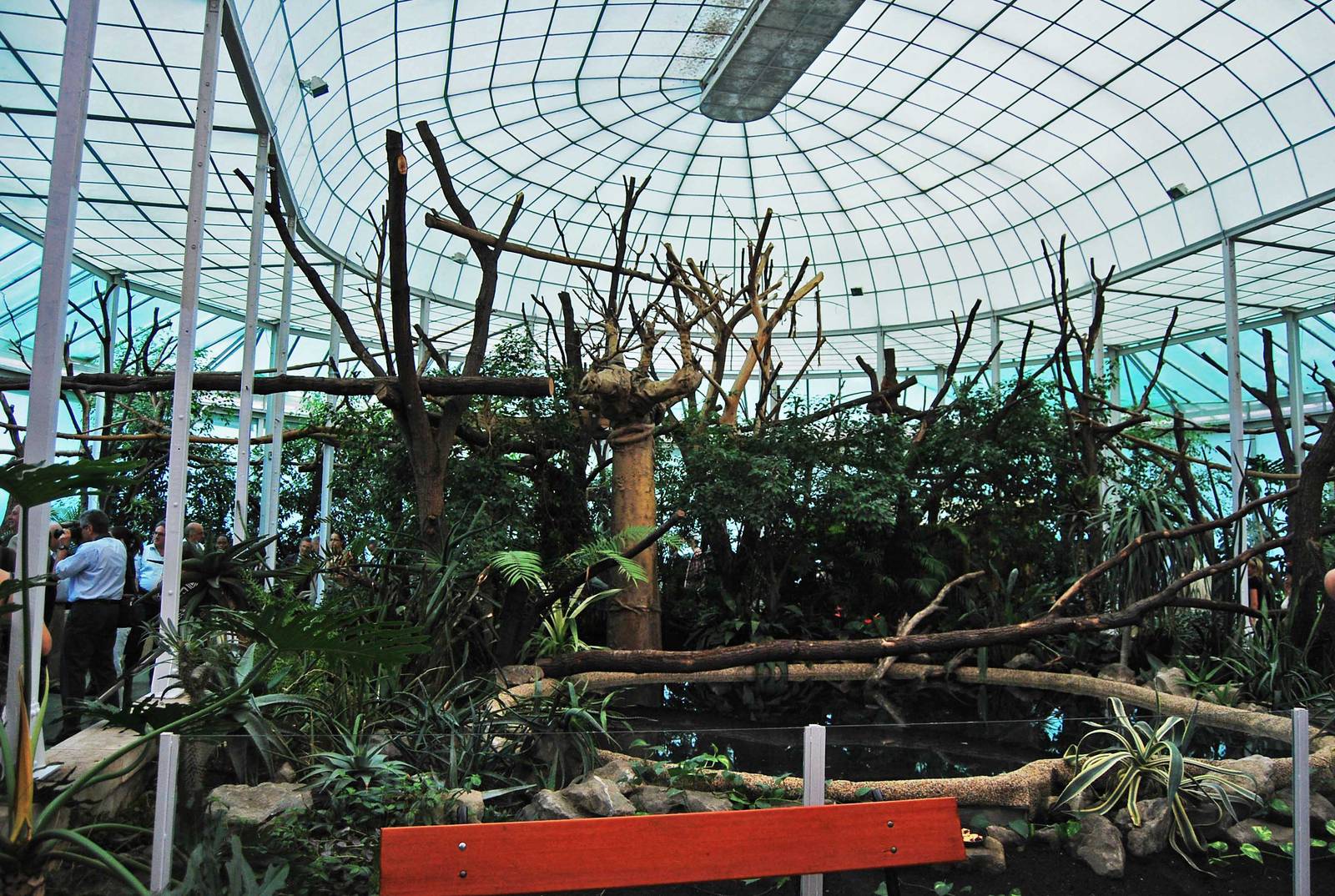 New Madagascar house 28.06.10.