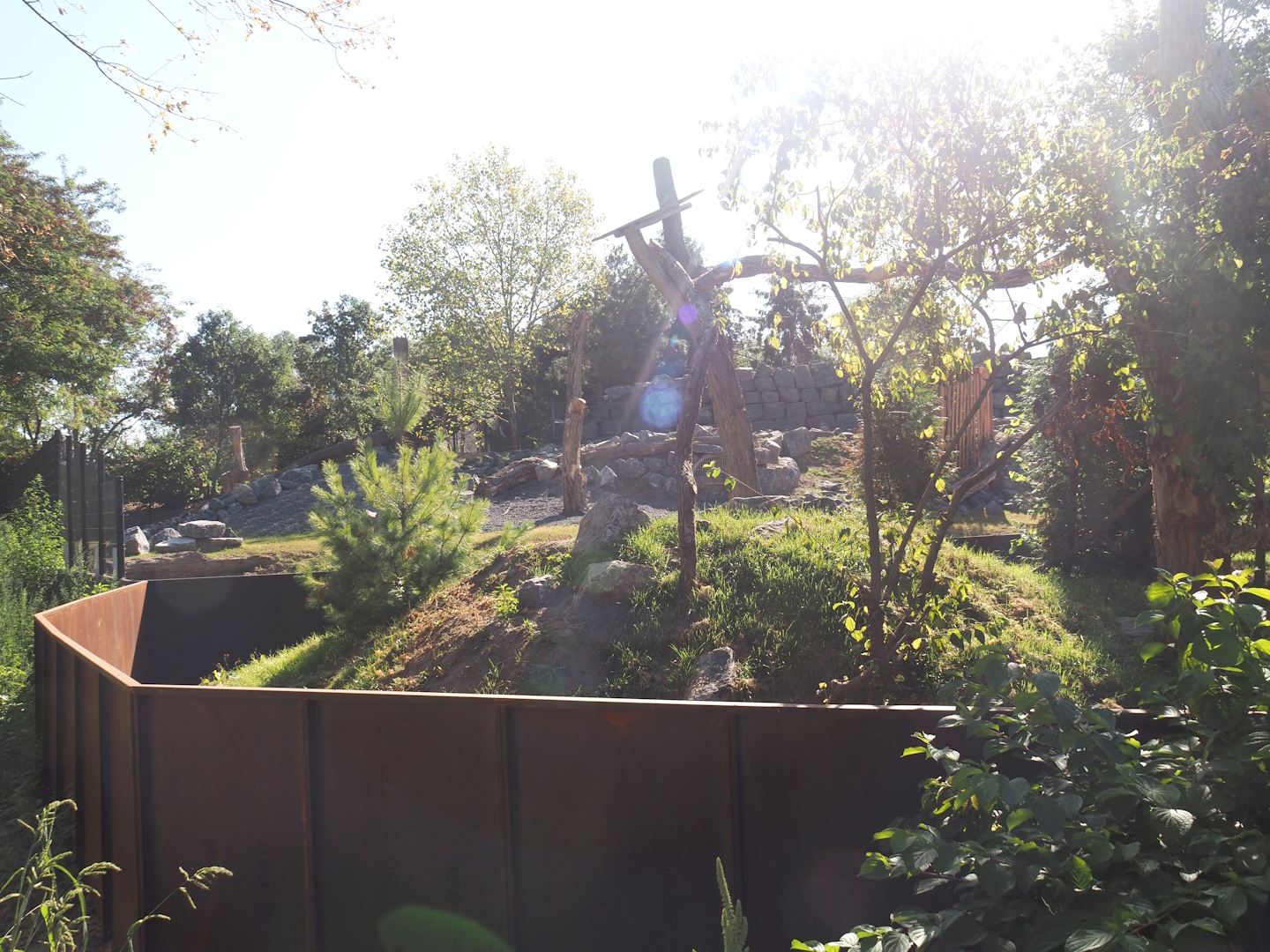 New main red panda exhibit, 2025-08-24