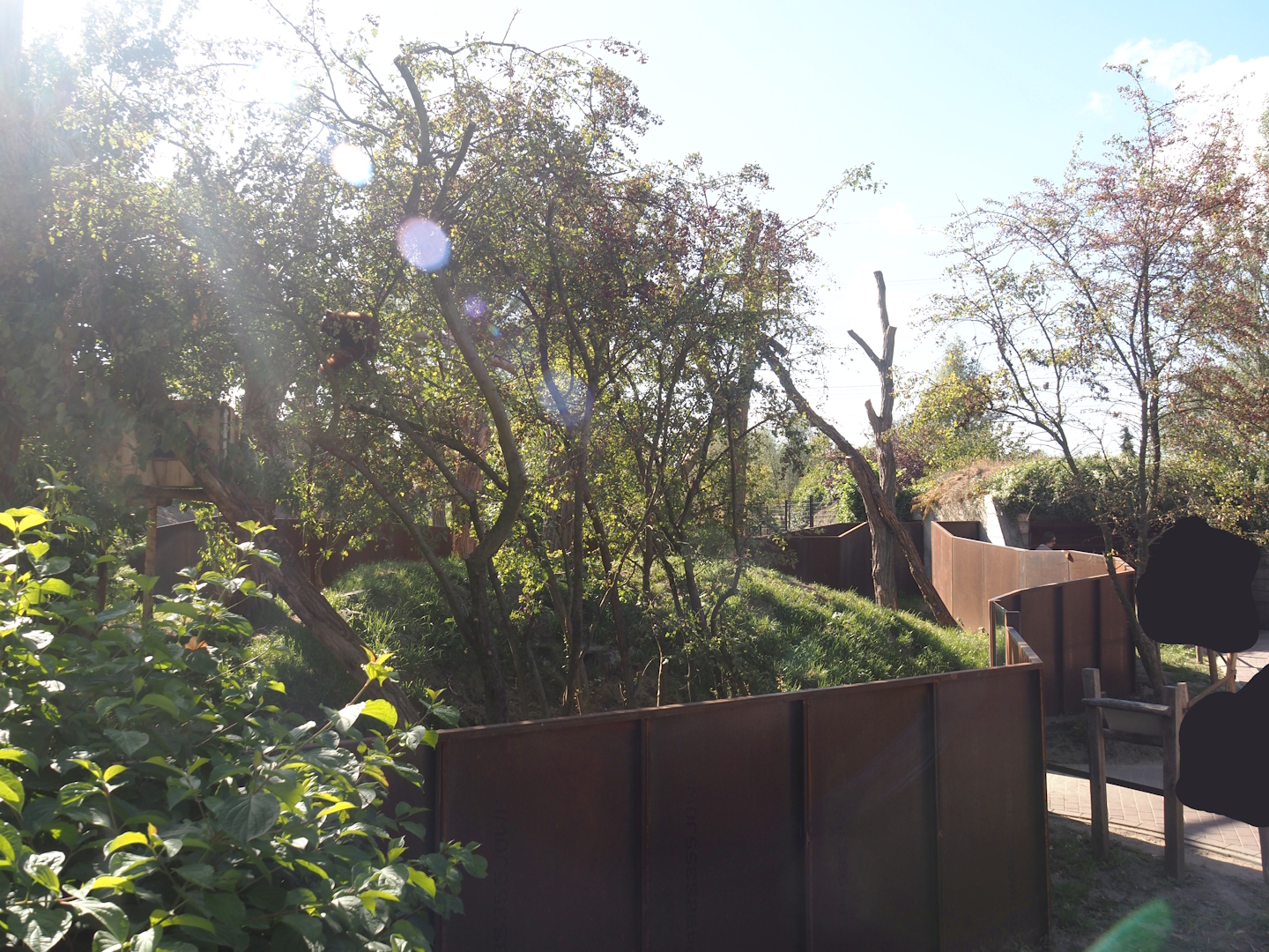 New main red panda exhibit, 2025-08-24