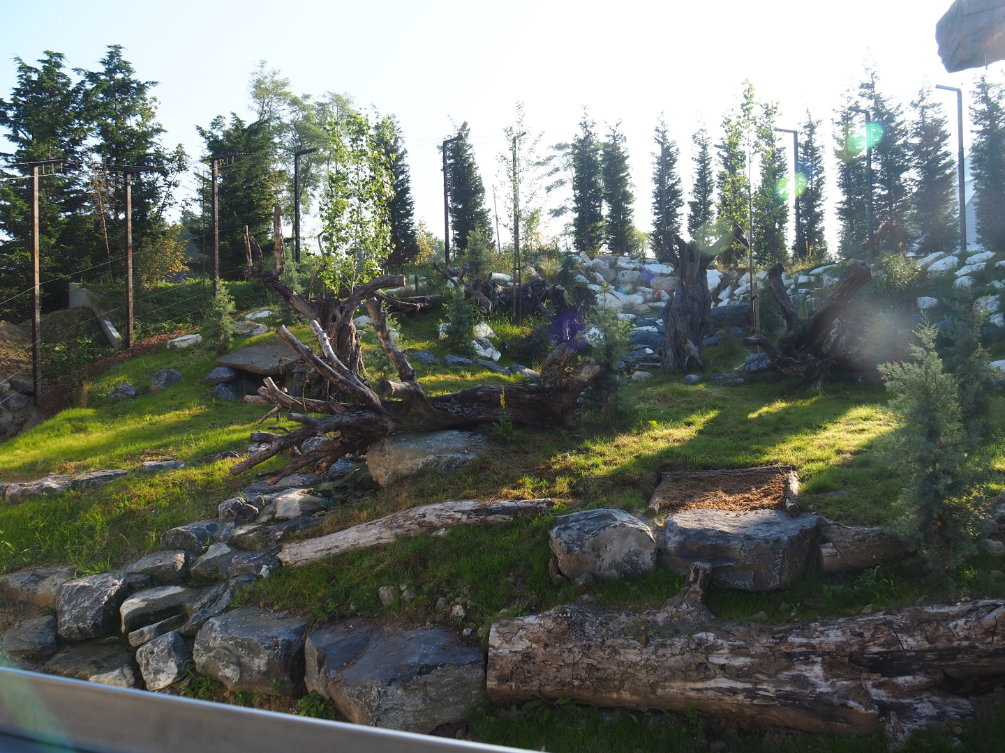 New main snow leopard exhibit, 2021-09-03