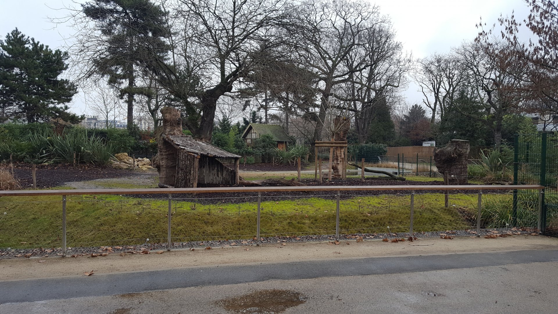 new malayan tapir enclosure
